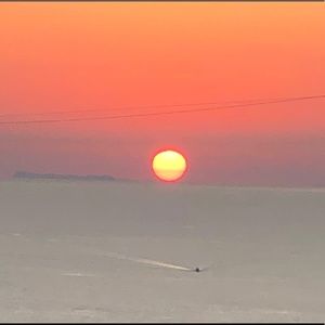 Meet your Posher, Charlotte